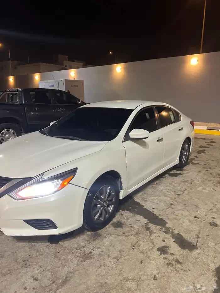 التيماء ستاندر 2017 1