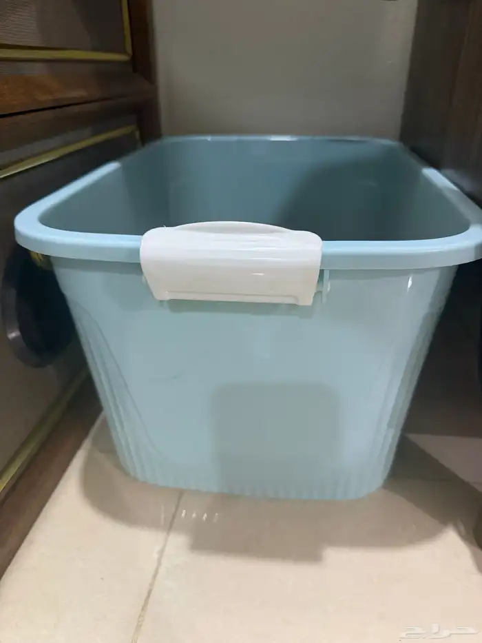 هامستر ونتر وايت للبيع 20