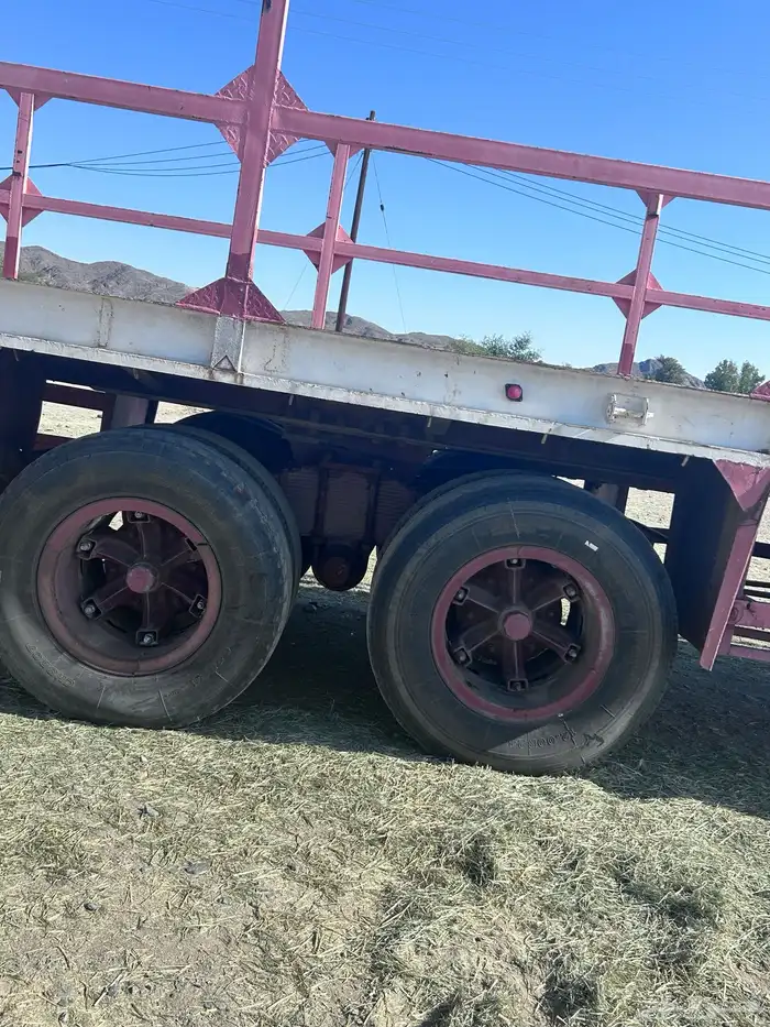 تيدر أعلاف للبيع 2