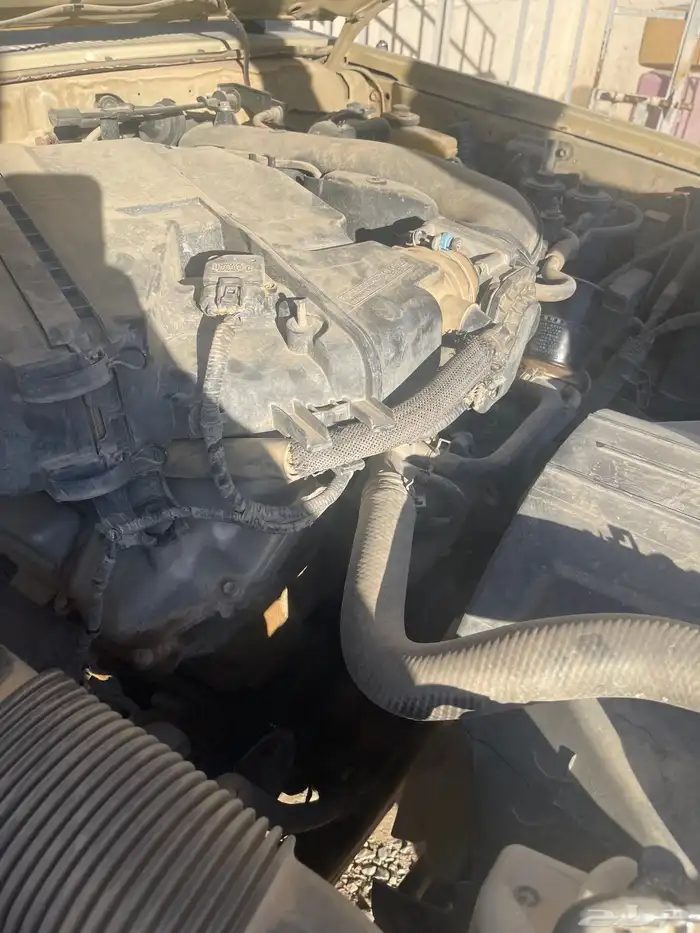 شاص 2013 مدينه عفيف 22