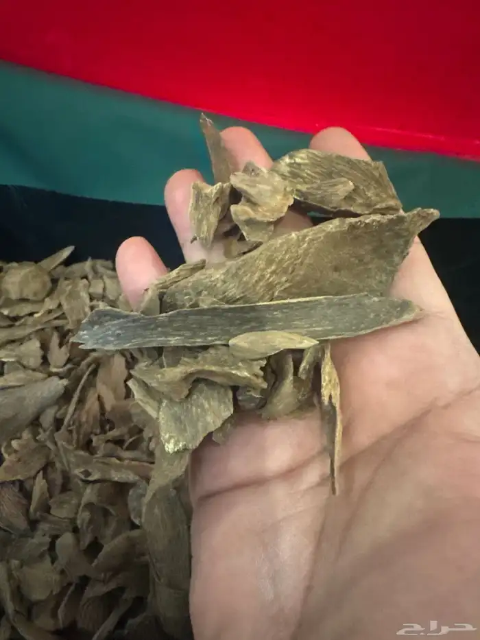 عود مالينو طبيعي 100  100 3