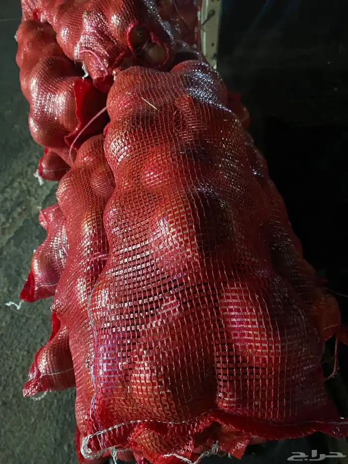 بصل ممتاز ونظيف 2