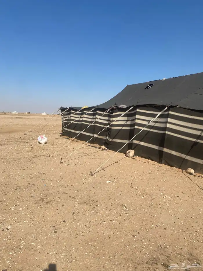 خمتين بيت شعر مقاس 14في 6 ومقاس 7في 5 تقريبا 10