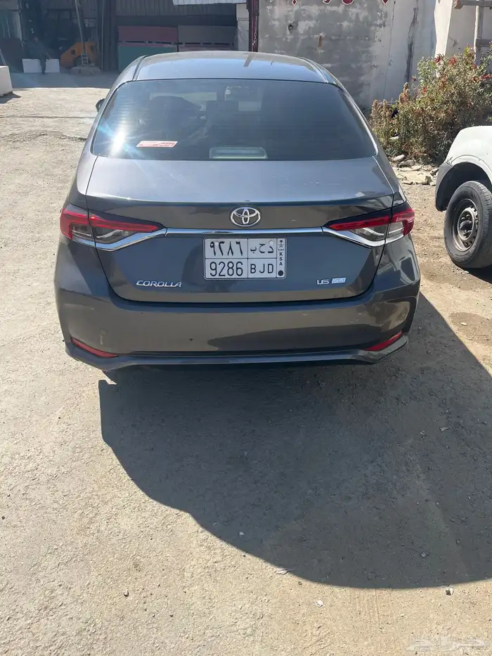 كورولا 2020 ستاندو 3