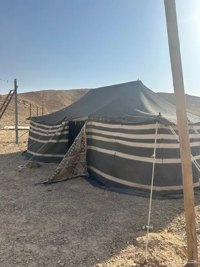 معالف غنم للبيع وبيت شعر خيمه 2 5