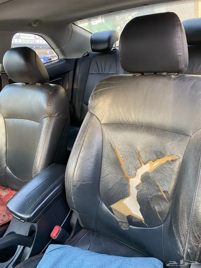 سيراتو كوبية 2011 15