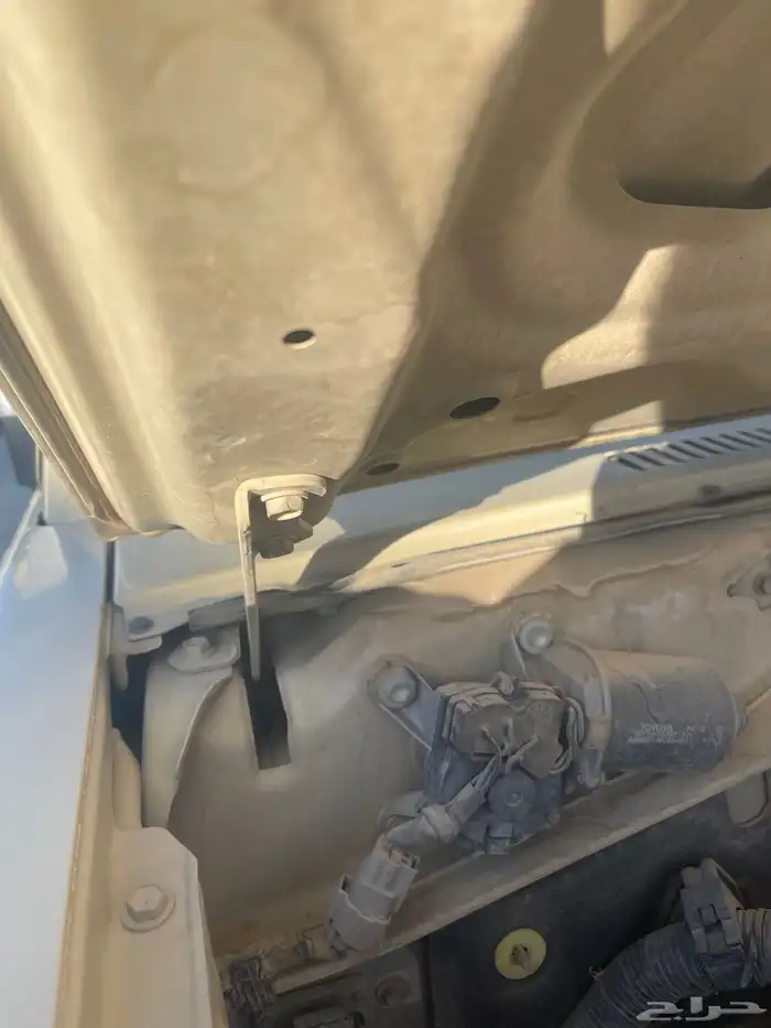 شاص 2013 مدينه عفيف 21