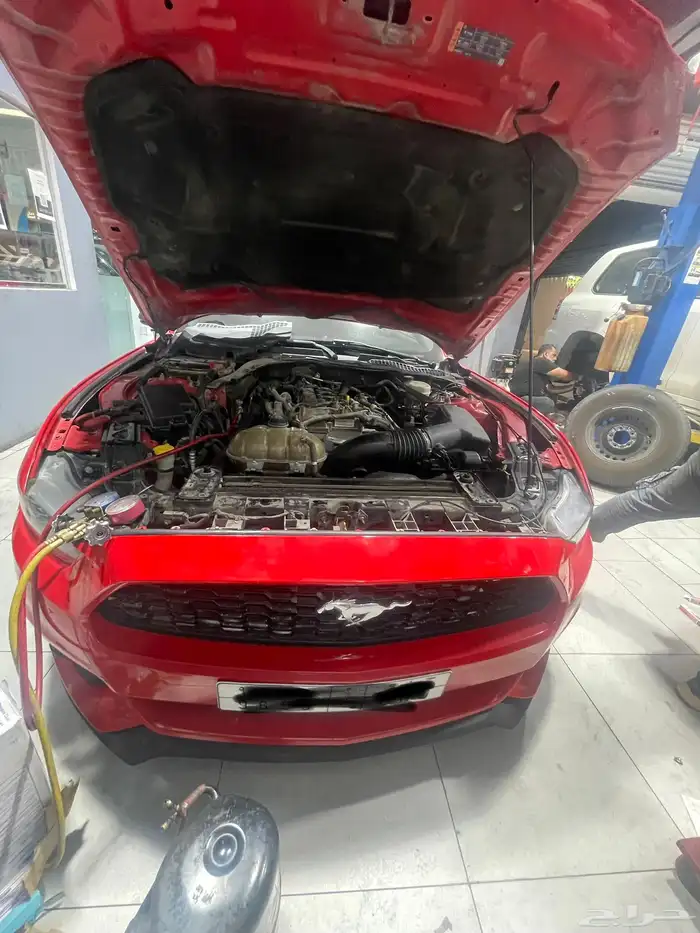 تبديل فحمات عضلات أقمشة عروض ورشة ركاز العربية 6