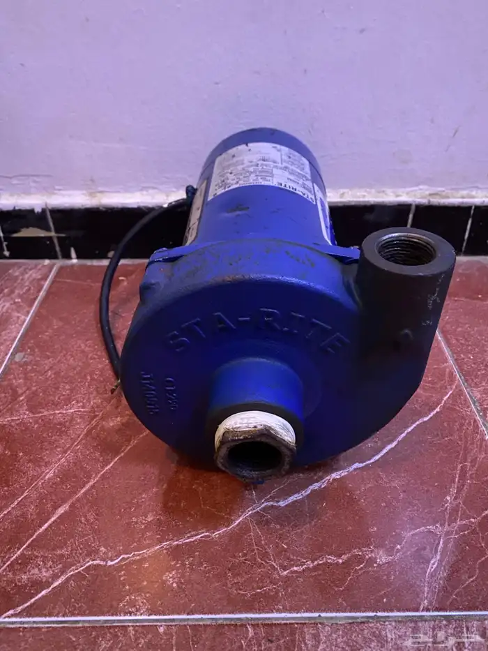 دينمو سمنان أمريكي 7