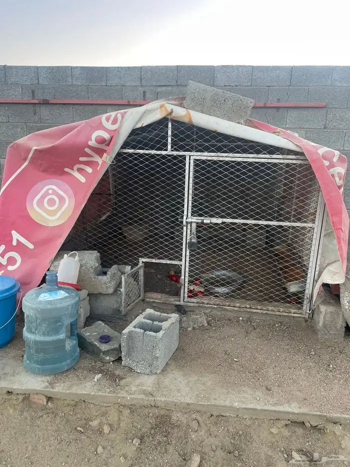 شبك لبيع له باب كبير وصغير 0