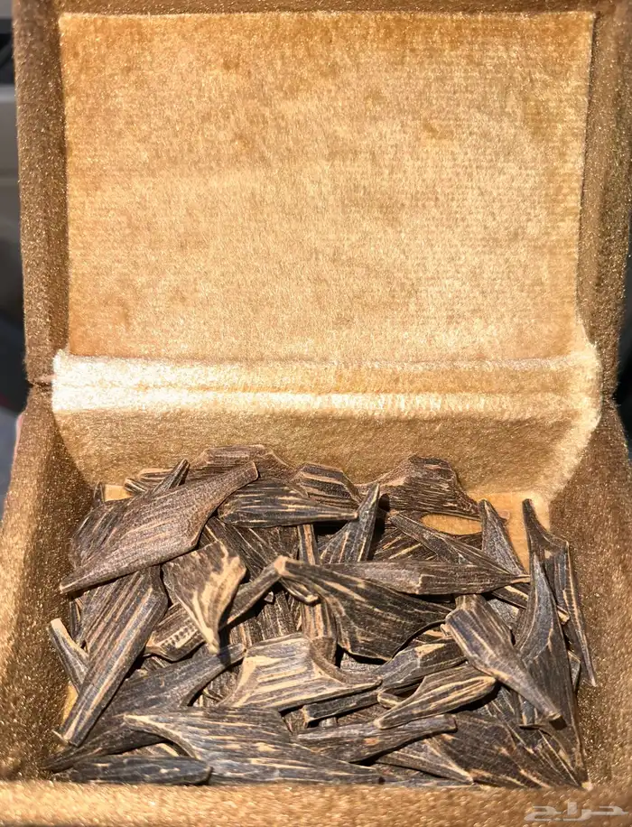 عود أزرق طبيعي 4