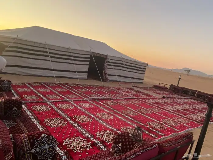 بيت شعر تجهيز مخيمات 3