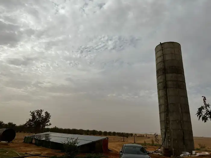 مزرعه للبيع في الحماده فروثي 7