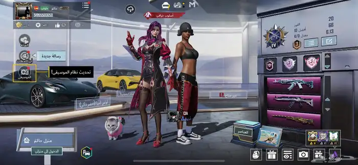 حساب ببجي 17