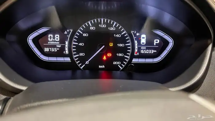 شانجان سفن فل كامل 2023 11