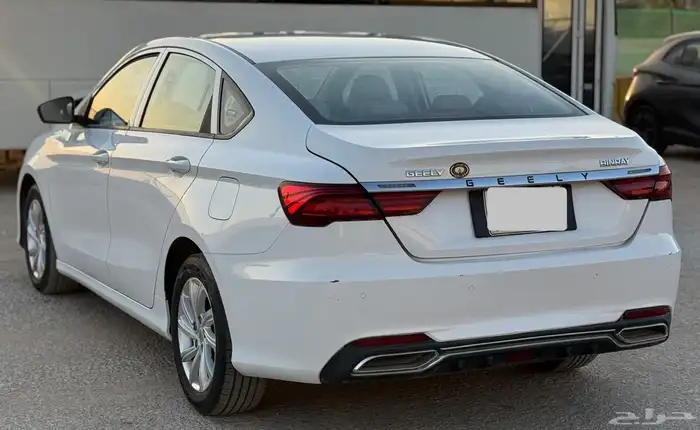 جيلي بينراي 2022 11