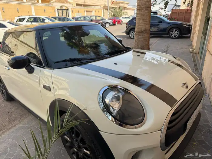 مني كوبر 2020 12