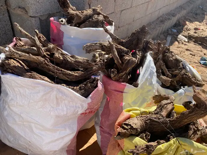 ددسن فريقي 0