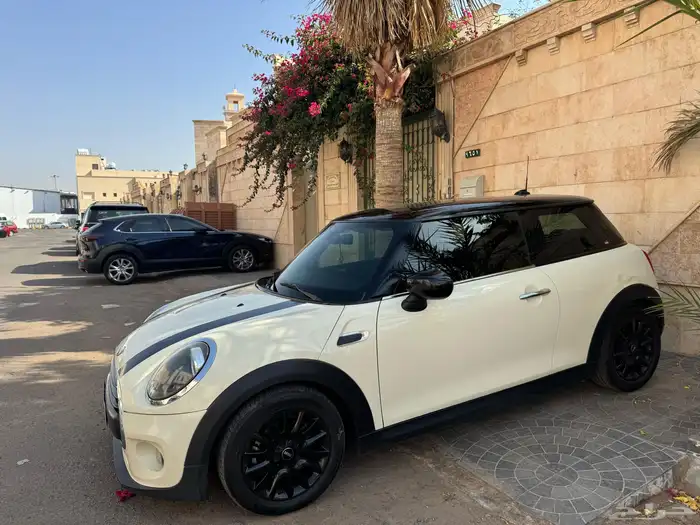 مني كوبر 2020 17