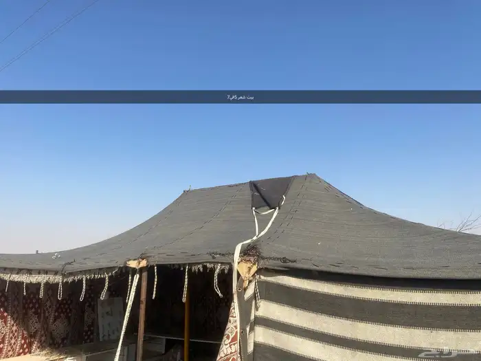 خمتين بيت شعر مقاس 14في 6 ومقاس 7في 5 تقريبا 5