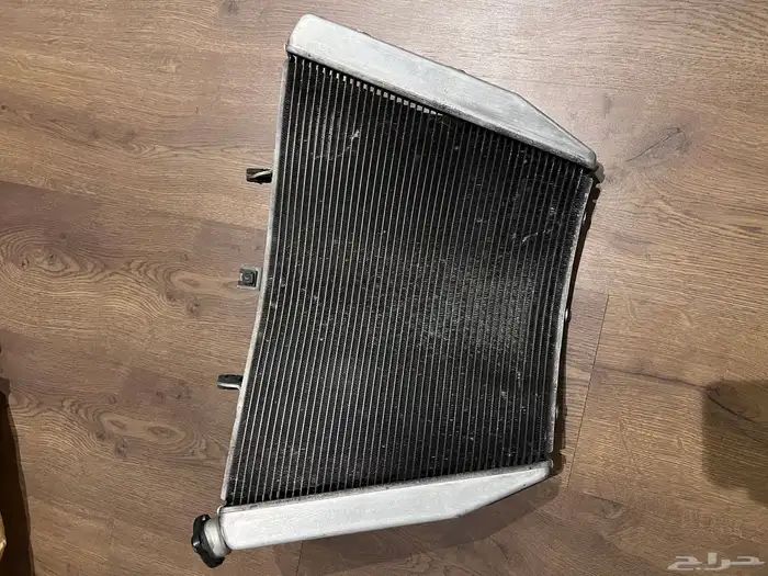 لديتر ريس 1000 2007 1