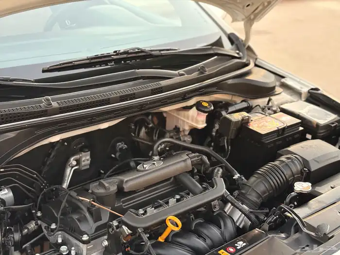 اكسنت 2022 نظيفة للمستخدم 27