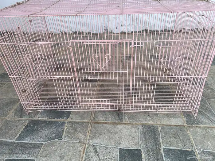 شبك للطيور والبساس كبير 4