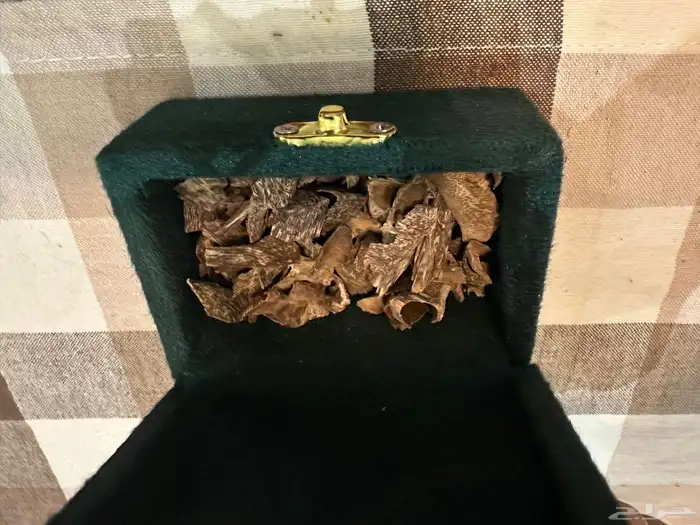 عود تراد تايلاندي 4