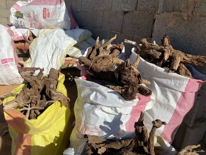 ددسن فريقي 2