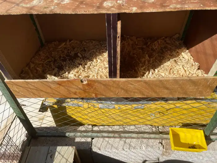 للبيع أزواج حمام 2