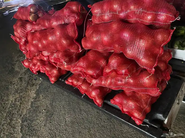 بصل ممتاز ونظيف 1