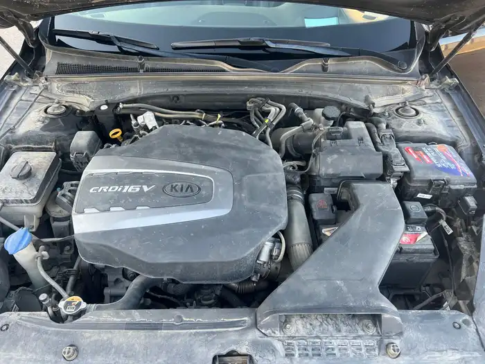 كيا كادنزا 12