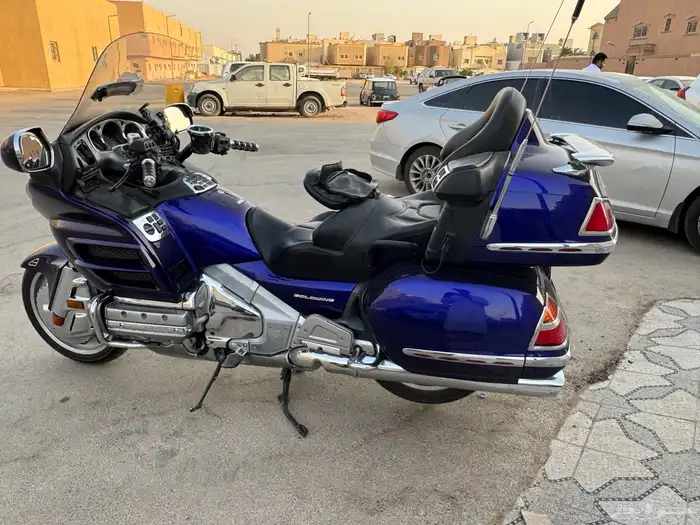 قولد وينق 2003 5