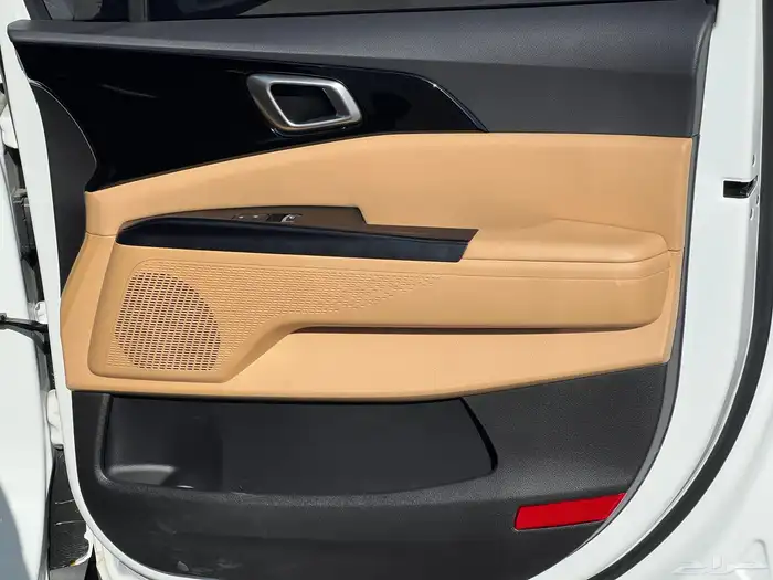 كيا كرنفال موديل 2023 ديزل 17