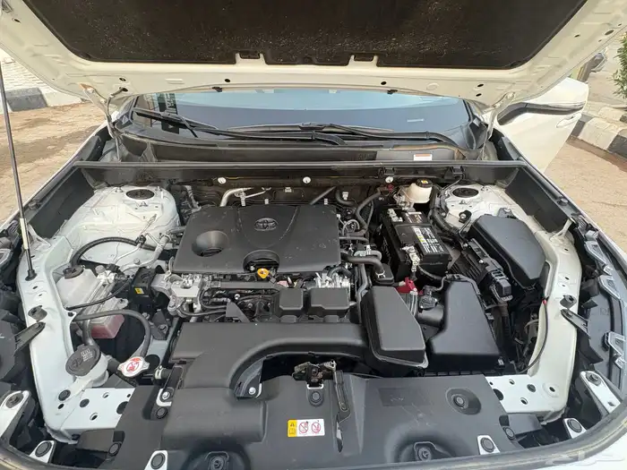 راف فور 2023 دبل 24