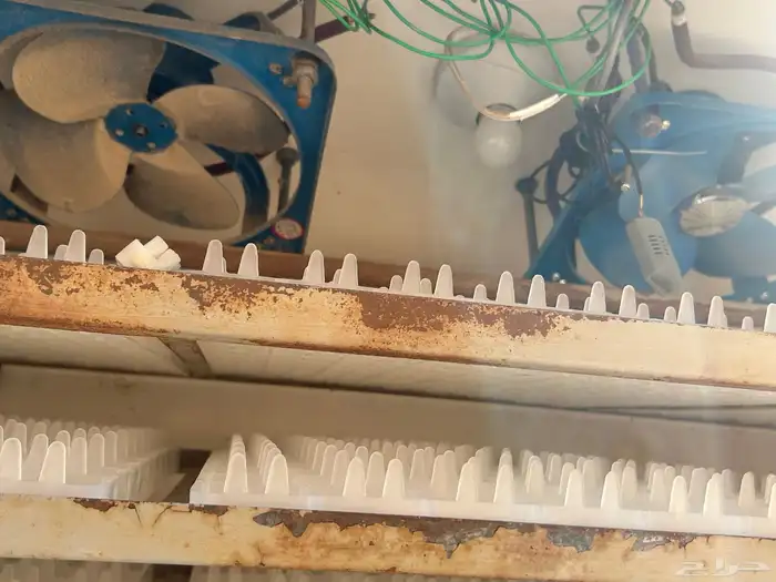 فقاسه وطنيه 3