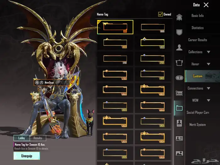 حساب ببجي لفل 80 لفل المجموعات 60 الحساب قديم وفيه نوادر 28