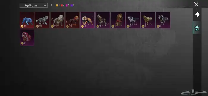 حساب ببجي للبيع 53