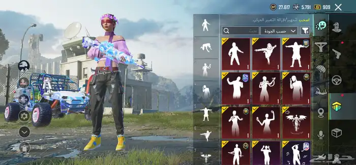 حساب ببجي للبيع 14