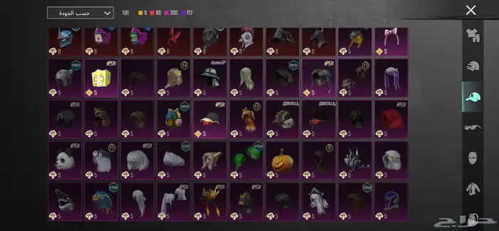 حساب ببجي للبيع 24