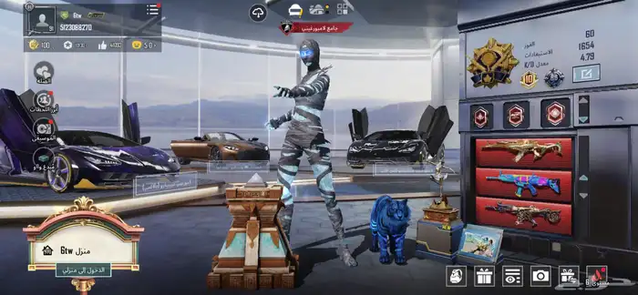 حساب ببجي للبيع 2