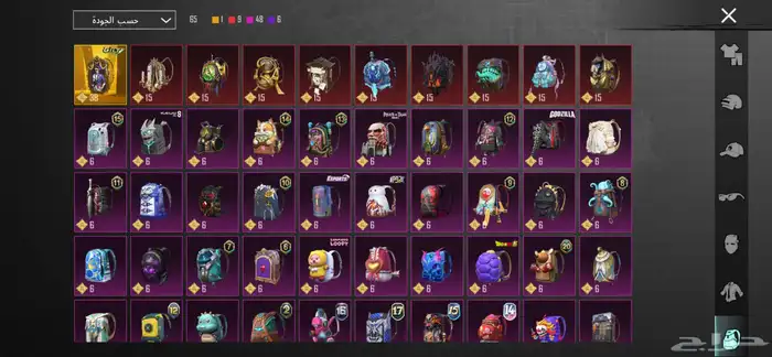 حساب ببجي لفل 75 5