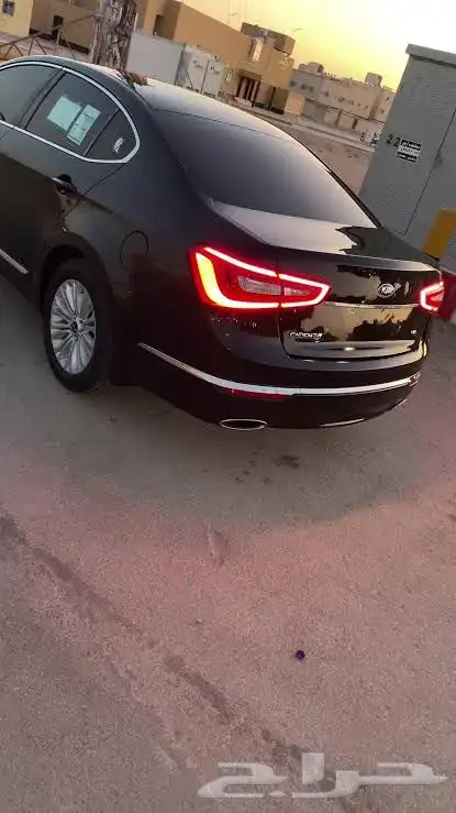 مطلوب كدينزا 14-16 ابيض-اسود نظيف 0