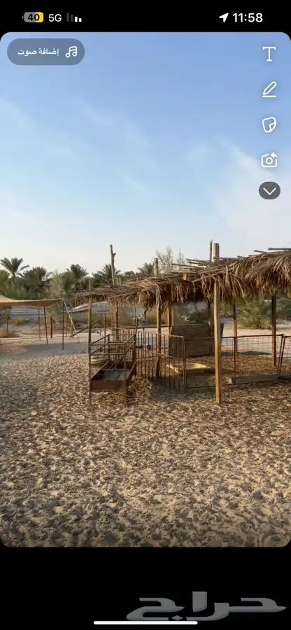 شبوك وخيمة حلال للبيع 2