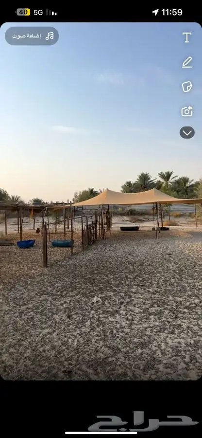 شبوك وخيمة حلال للبيع 1