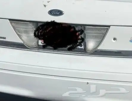 فورد فكترويا. موديل 99 4