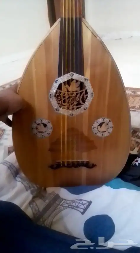 عود مصري السعر 750 قابل لتفاوض 1