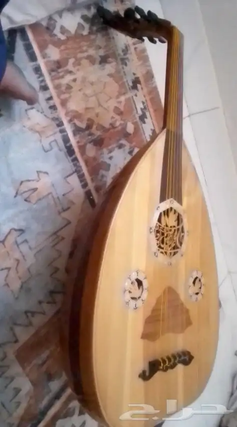 عود مصري السعر 750 قابل لتفاوض 0