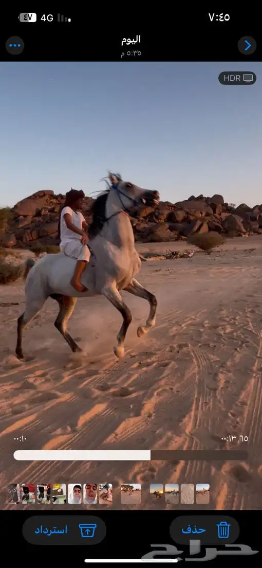 احصان شعبي شيخ 5