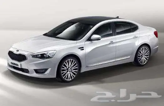 توفير جميع انواع جنوط الكيا الوكالة والتقليد 3